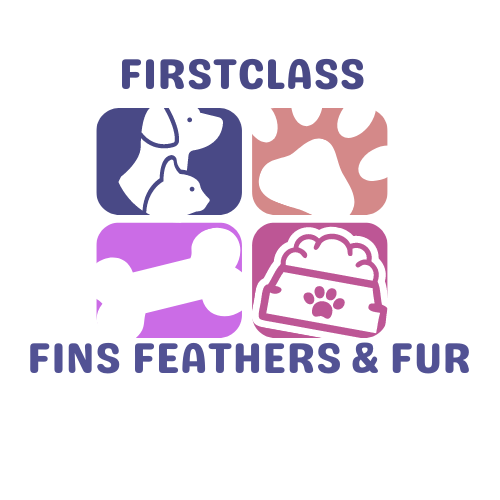 FirstclassFinsFeathersAndFur